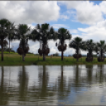 ¿QUÉ DEBES SABER SI VAS A VIAJAR A COLOMBIA?