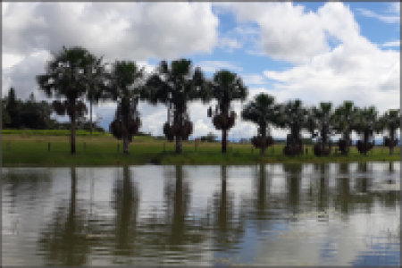 ¿QUÉ DEBES SABER SI VAS A VIAJAR A COLOMBIA?