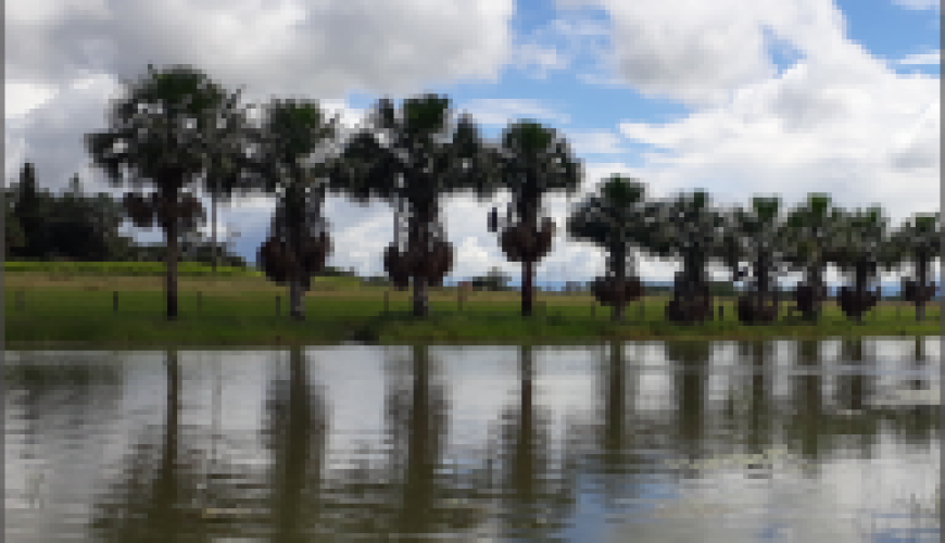 ¿QUÉ DEBES SABER SI VAS A VIAJAR A COLOMBIA?